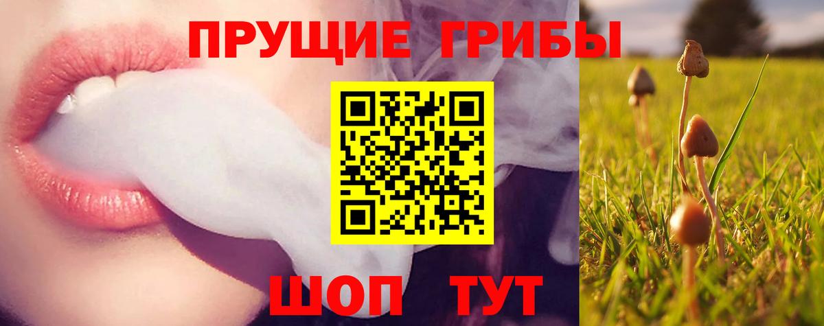 Псилоцибиновые грибы MAGIC MUSHROOMS  Вход с VPN  Галлюциногенные грибы Magic Shrooms  Кувандык 